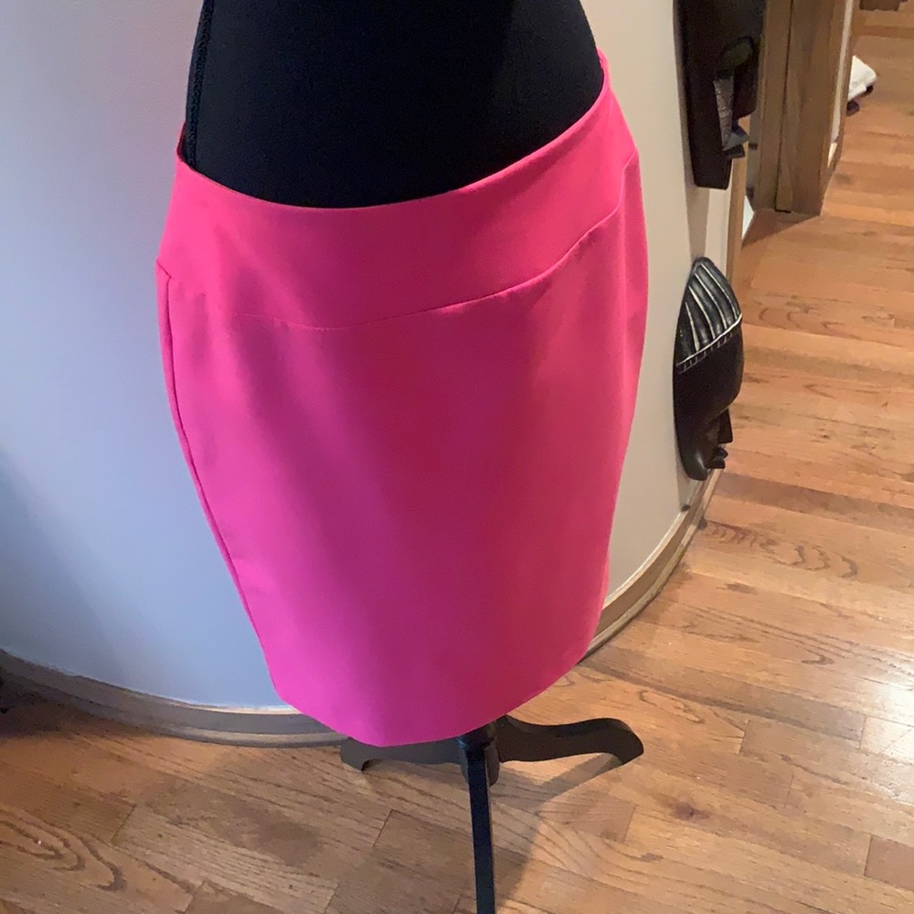 Alfani W8 Skirt